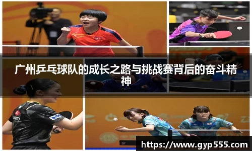 广州乒乓球队的成长之路与挑战赛背后的奋斗精神